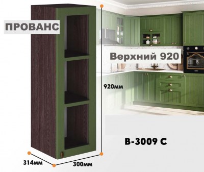 provans_v_3009c_3