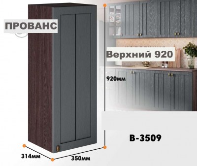 provans_v_3509_10