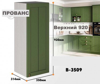 provans_v_3509_1
