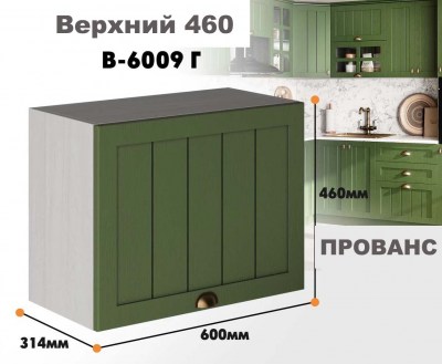 provans_v_6009g_1