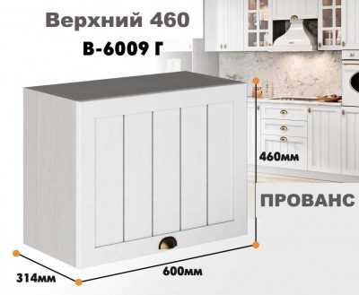 provans_v_6009g_3