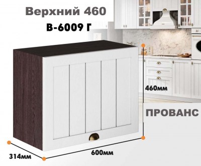 provans_v_6009g_4