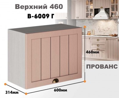 provans_v_6009g_5