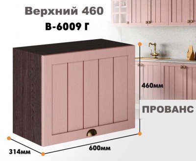 provans_v_6009g_8