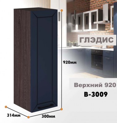 gledis_v_3009_9