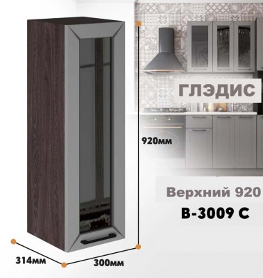gledis_v_3009s_5