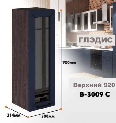 gledis_v_3009s_9