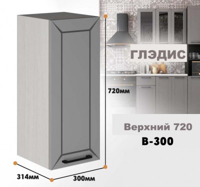 gledis_v_300_4