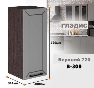 gledis_v_300_5