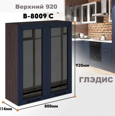 gledis_v_8009s_9