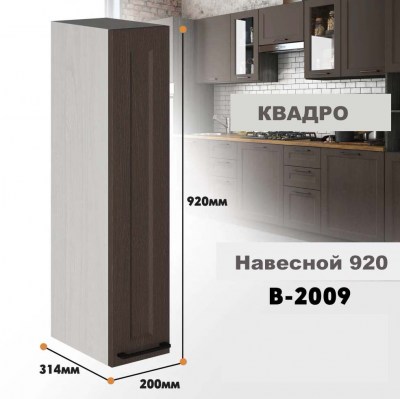 kvadro_v_2009_6