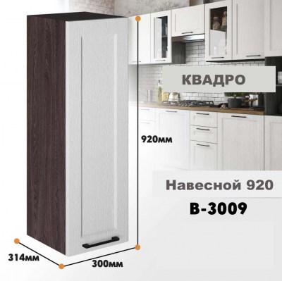 kvadro_v_3009_3